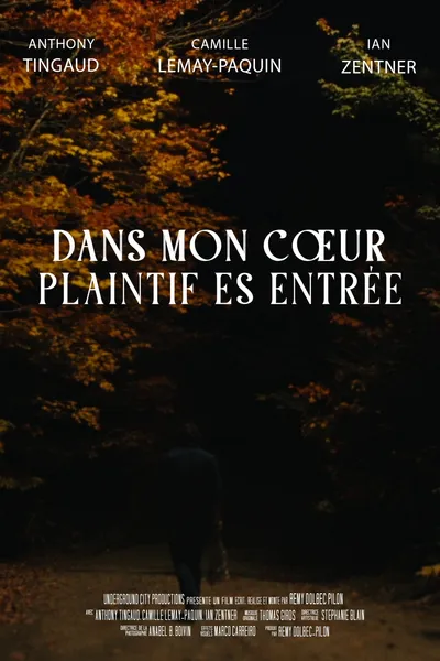 Dans mon cœur plaintif es entrée