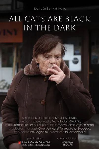 Potmě jsou všechny kočky černé