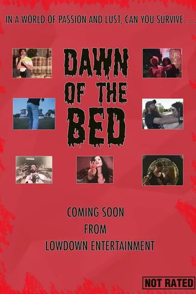 Dawn of the Bed