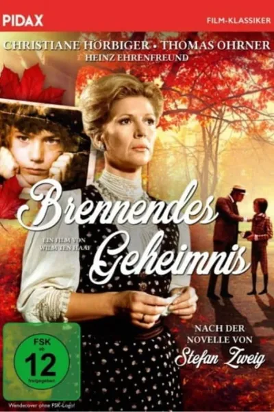 Brennendes Geheimnis