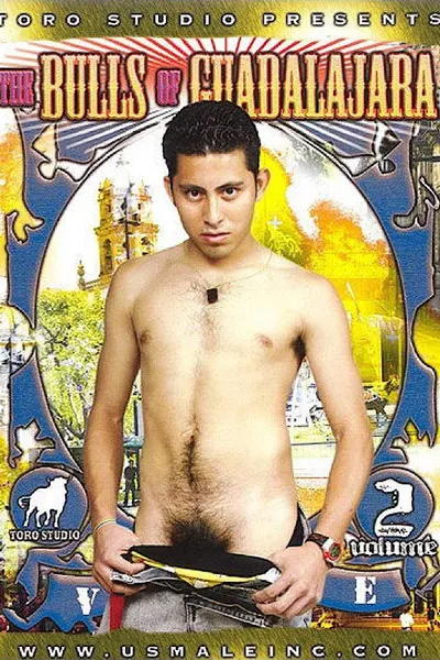 The Bulls of Guadalajara 2
