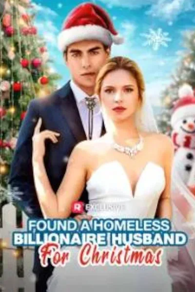 Found a Homeless Billionaire Husband for Christmas