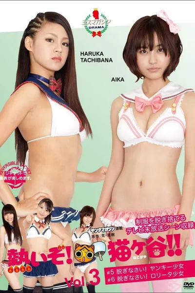 熱いぞ!猫ヶ谷!! Vol.3
