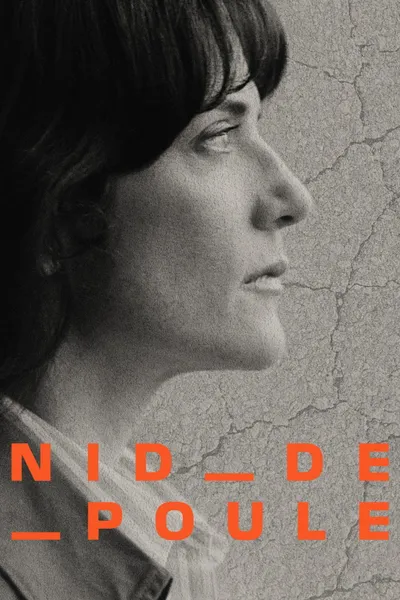 Potholes - Are our roads a public hazard?