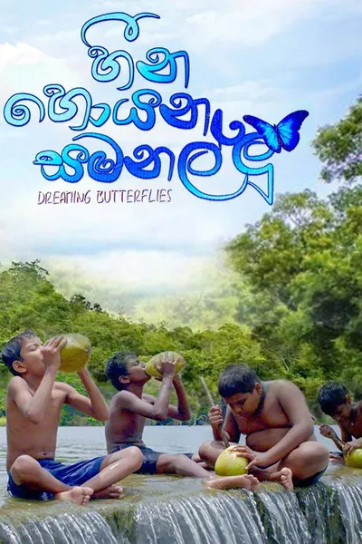 Dreaming Butterflies