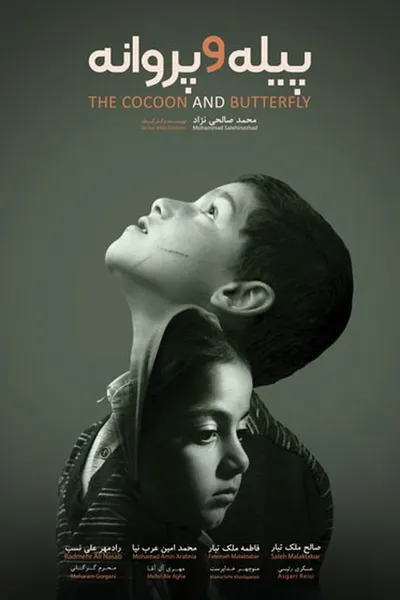 The Cocoon & Butterfly