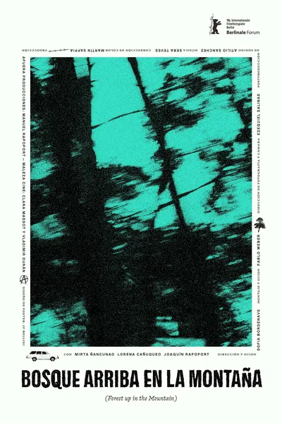 Forest up in the Mountain