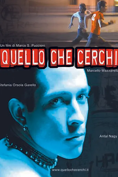 What Are You Looking For