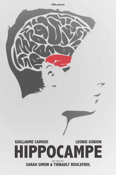 Hippocampe