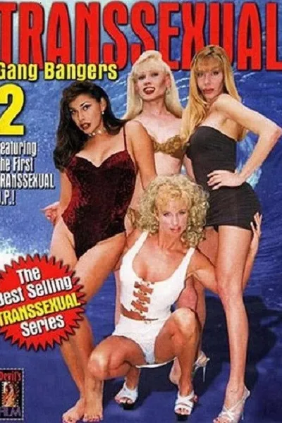 Transsexual Gang Bangers 2