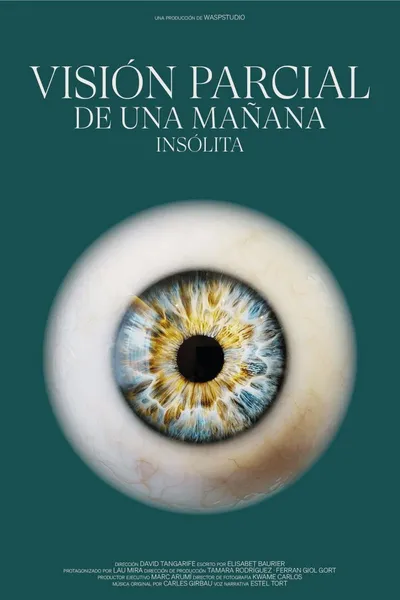 Visión Parcial de una Mañana Insólita