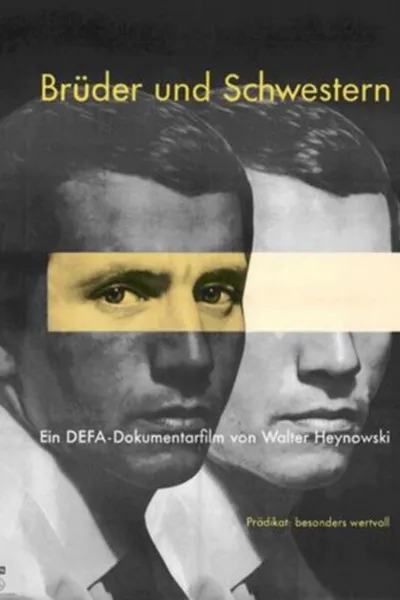 Brothers and Sisters