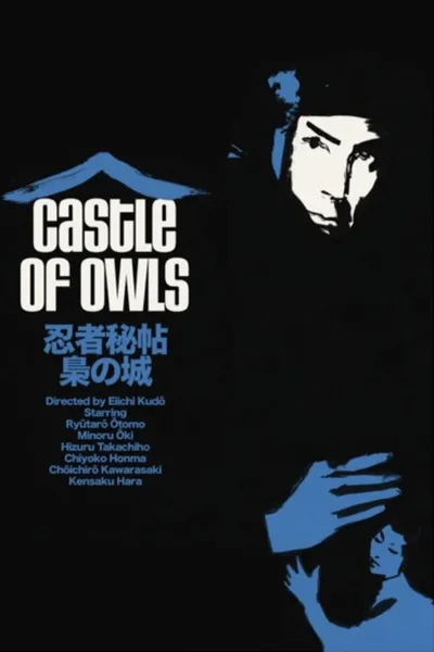 Castle of Owls