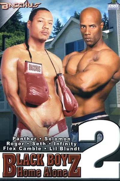 Black Boyz Home Alone 2