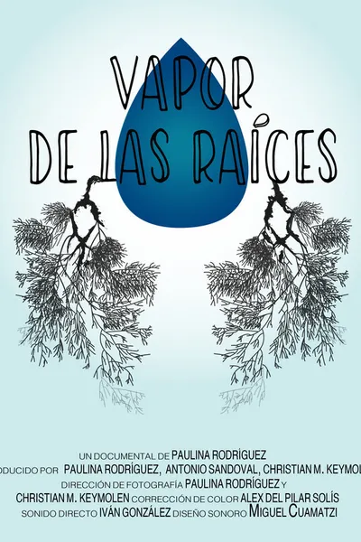 Vapor de las raíces