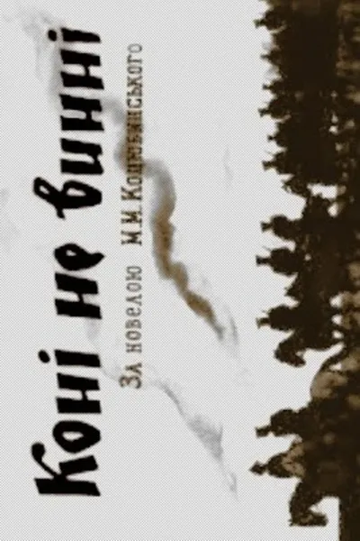 The Horses Are Not Guilty