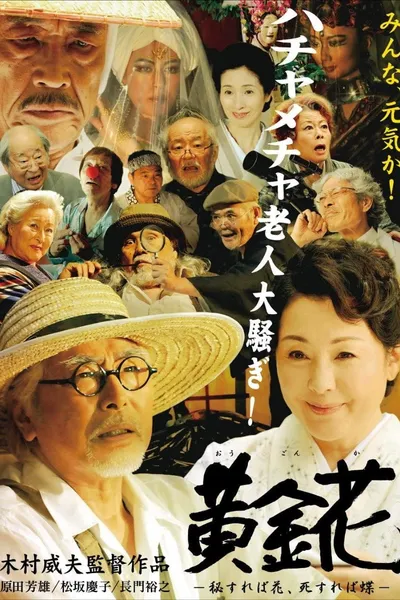 Golden Flower: What Is Hidden Is the True Flower, What Is Gone Is the Butterfly