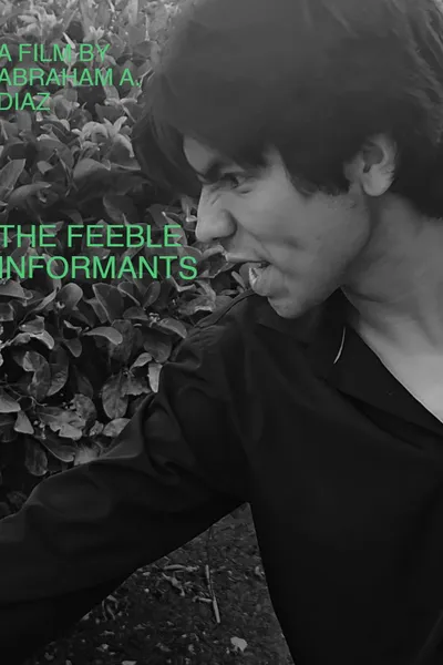 The Feeble Informants