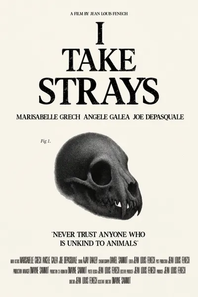 I TAKE STRAYS