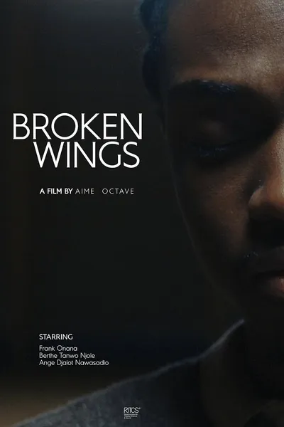 Broken Wings