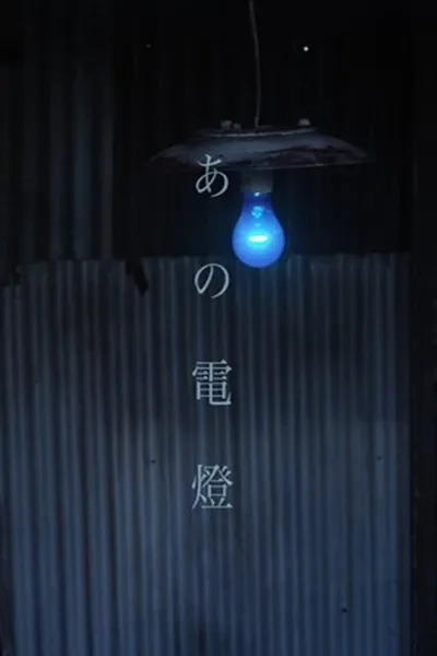 A Light in the Distance