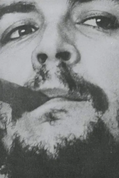 Che Che Che
