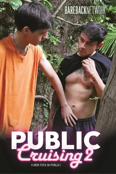 Public Cruising 2