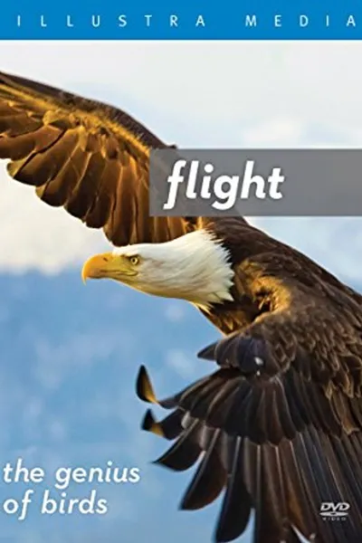 Flight: The Genius of Birds