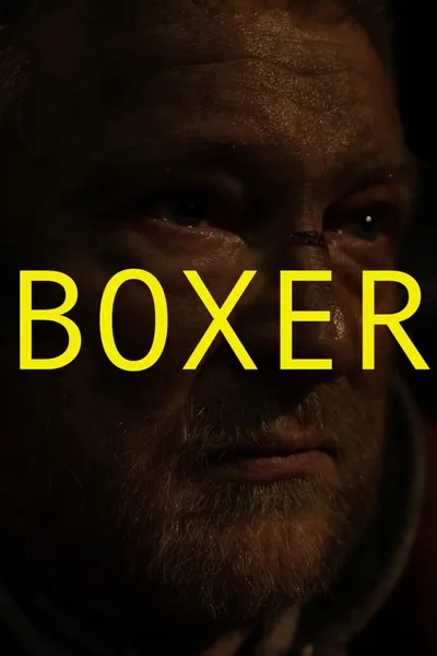 Boxer