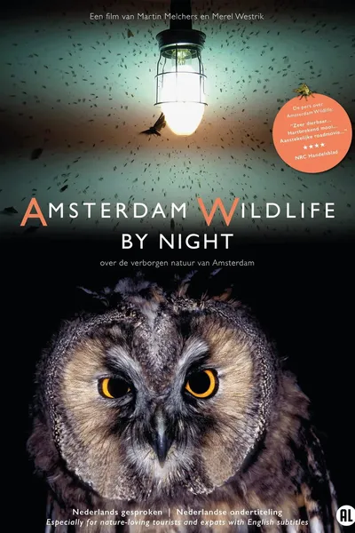 Amsterdam Wildlife by Night