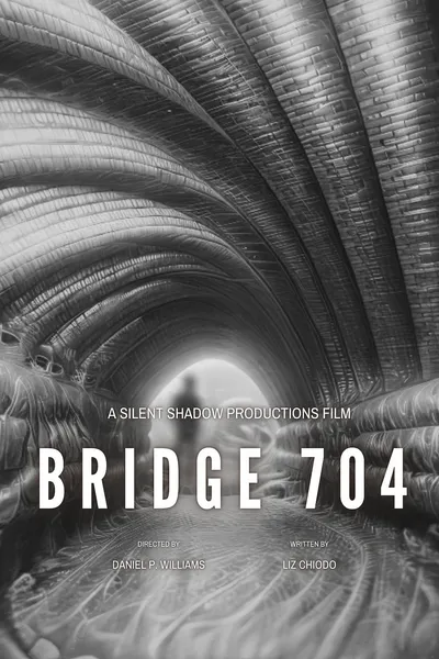 Bridge 704