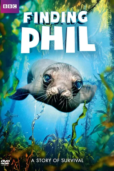 Finding Phil