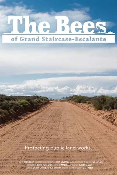 The Bees of Grand Staircase-Escalante