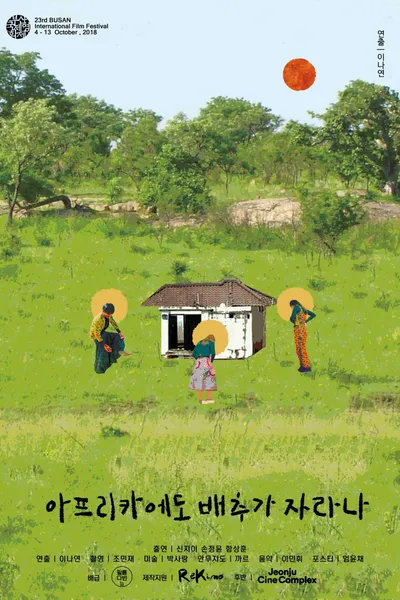 Do Cabbages Grow in Africa?