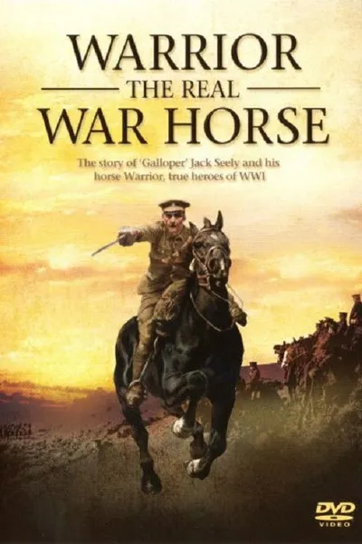Warrior: The Real War Horse