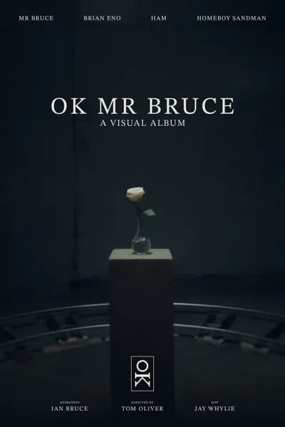 OK MR BRUCE