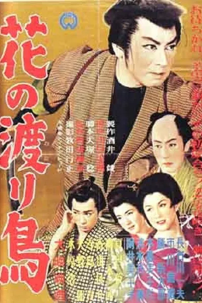 Migratory Birds of the Flowers