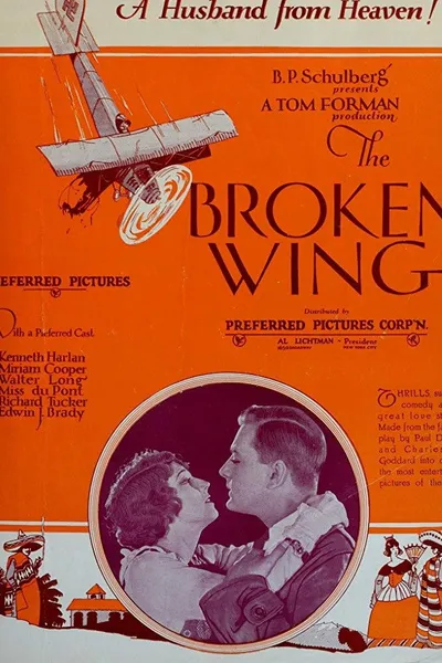 The Broken Wing