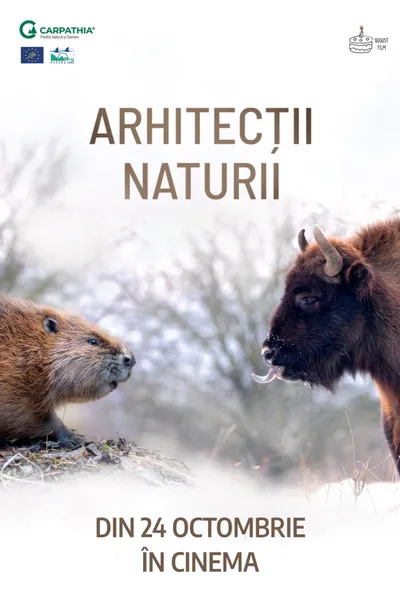 Nature's Architects