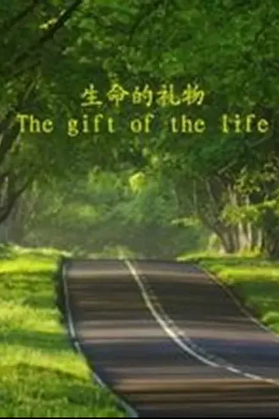 The Gift of the Life