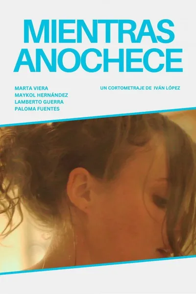 While The Night Falls