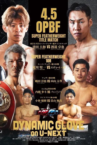 DYNAMIC GLOVE on U-NEXT Vol.31