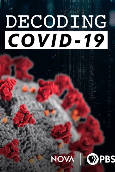 Decoding COVID-19