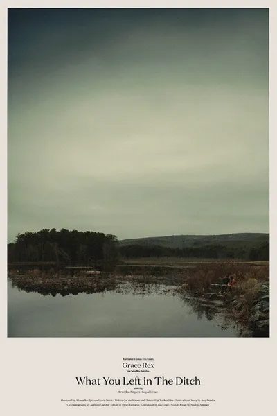 What You Left in the Ditch