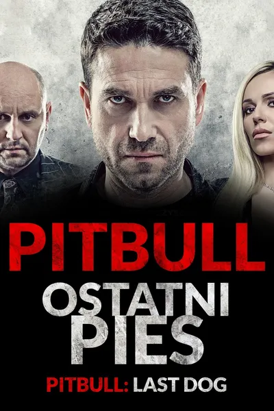 Pitbull. Last Dog