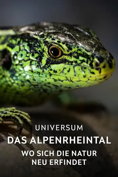 Das Alpenrheintal – Wo sich die Natur neu erfindet