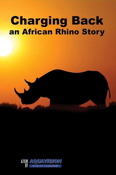 Charging Back: A Rhino Story