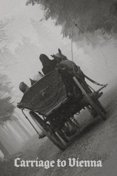 Carriage to Vienna