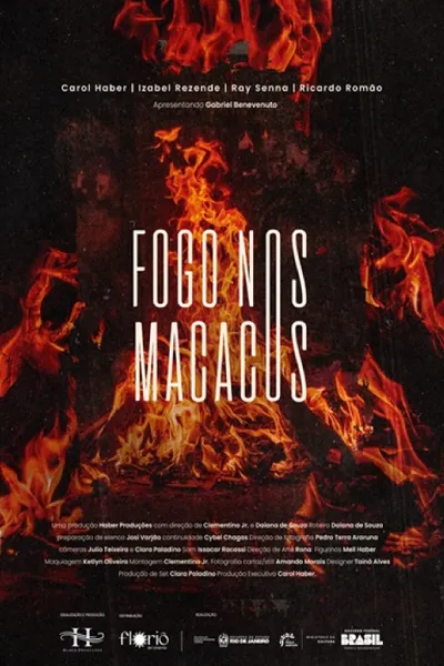 Fogo nos Macacos