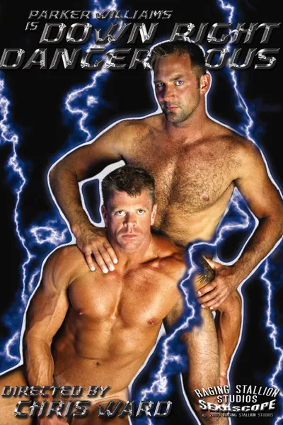 Down Right Dangerous